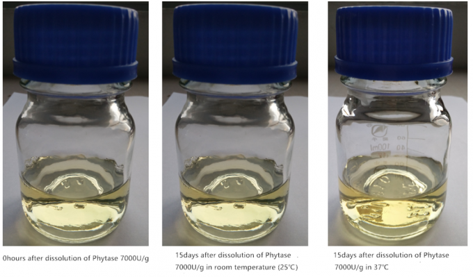 White Watersoluble Phytase Enzyme Powder Feed And Food Grade 1