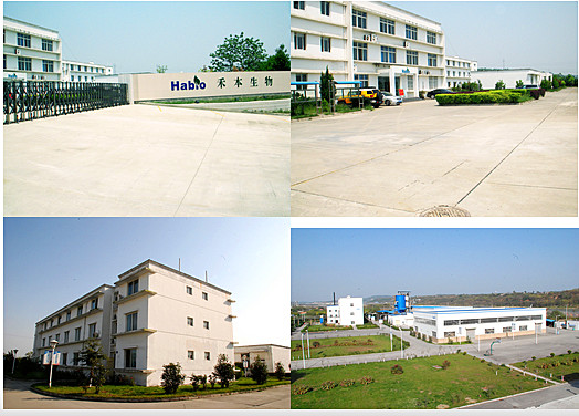 20000U λευκή αμυλάση αλφά αμυλάσης σε σκόνη Cas 9000 90 2 Για προμιξία - θερμοσταθερή αμυλάση αλφά αμυλάση 10