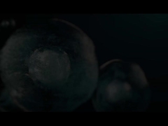 Χαμπίο Βίντεο