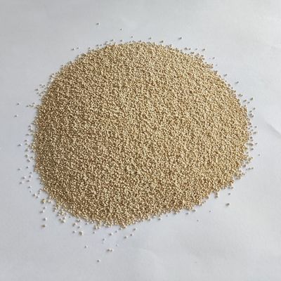 Η διατροφή της Habio Enzymatic Lipase βελτιώνει την απορρόφηση και την αξιοποίηση του βιοδιαλύματος