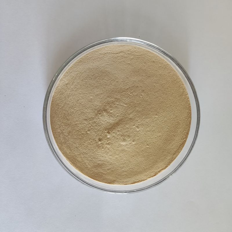 Habio Protease BP100 100.000U/g Κόνις/Κοκκία Ολόκληρη Πρωτεάση Εντερικής Τροφής