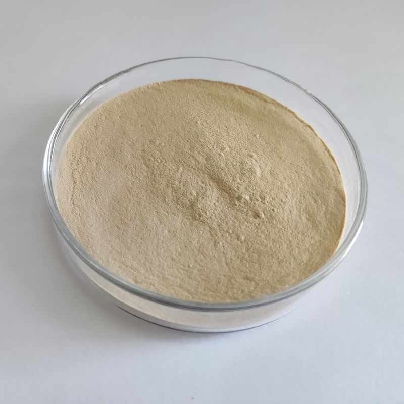 Habio Protease BP100 100.000U/g Κόνις/Κοκκία Ολόκληρη Πρωτεάση Εντερικής Τροφής