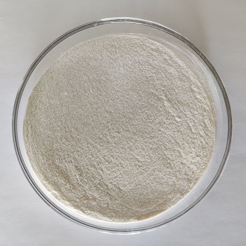 Habio Alkaline Protease Alkaline Proteolytic Enzyme 100.000~1.000.000U/G