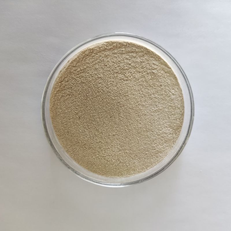 Habio Acid Protease Powder High Efficiency Acid Proteolytic Enzyme 100.000U/G