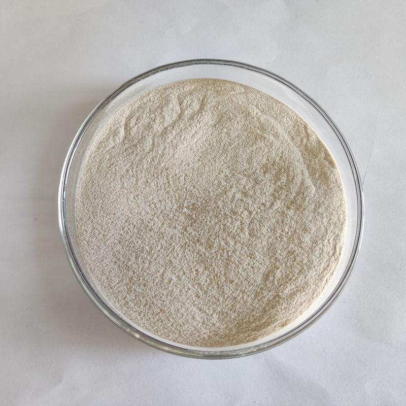 Lipase ενζυμικών πρωτεάσεων Habio καθαριστικό Cellulase αμυλάσης για το πλυμένο ύφασμα στους βιολογικούς λεκέδες