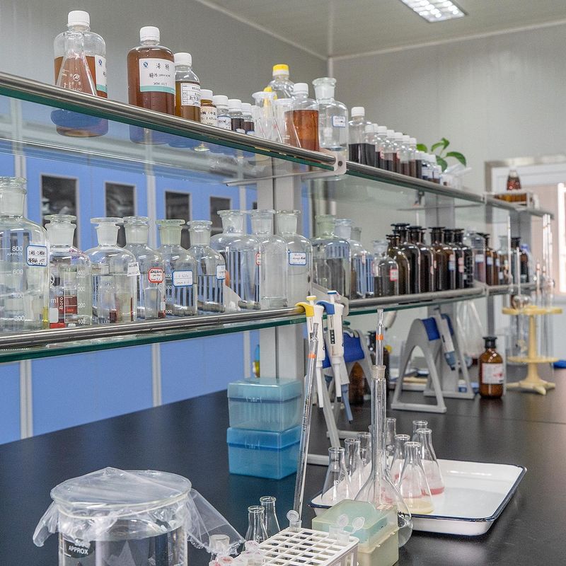 Habio Glucoamylase Powder/Liquid Continuous Saccharification For Starch Sugar Brewing