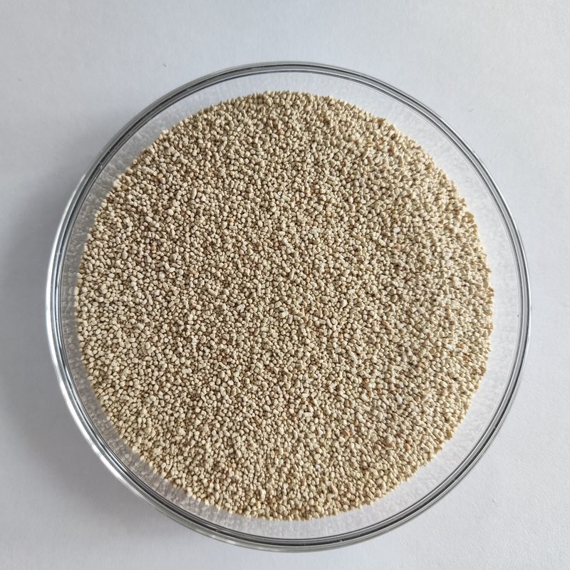 Η διατροφή της Habio Enzymatic Lipase βελτιώνει την απορρόφηση και την αξιοποίηση του βιοδιαλύματος