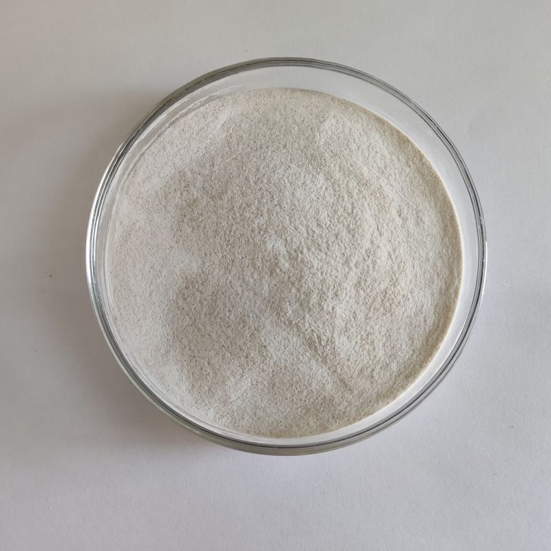 Habio Alpha Galactosidase 50.000 U/G σκόνη υδατοδιαλυτές πρόσθετες ύλες τροφίμων