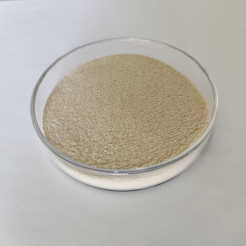 Habio Acid Protease Powder 300.000 U/g Υψηλής Απόδοσης Πρωτεολυτικό Ένζυμο Οξέος