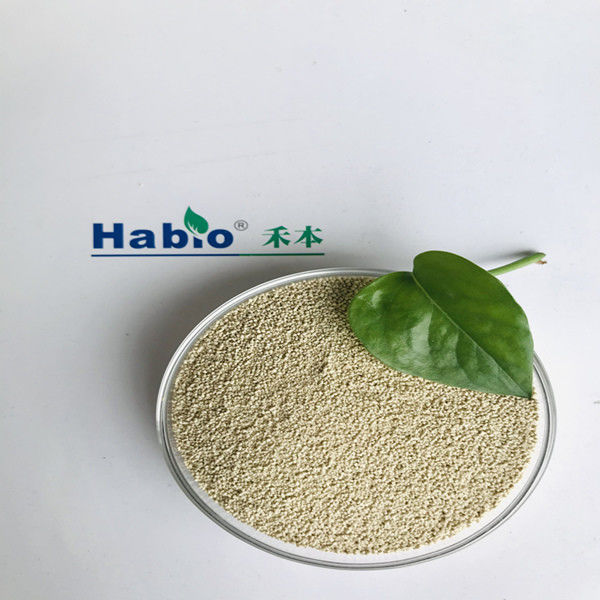 Lipase βαθμού τροφών ενζυμική σκόνη Habio με την πιστοποίηση ISO9001
